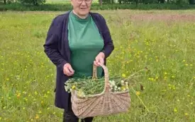 515925621_1246444063149905_852616399115176496_n