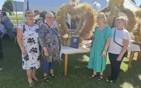 536275314_122140212620857212_6709889769687276182_n